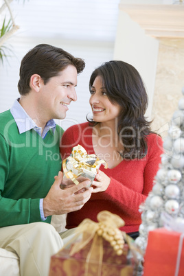 Husband Surprising Wife With Christmas Present