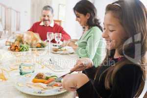 Family All Together At Christmas Dinner