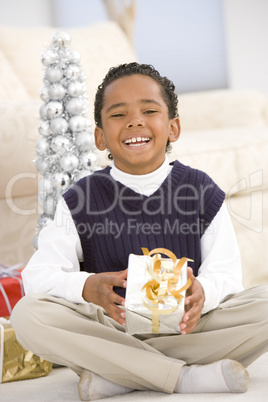 Portrait Of Boy With Christmas Present