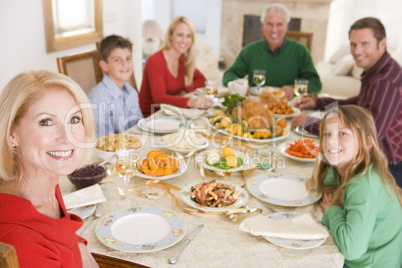 Family All Together At Christmas Dinner