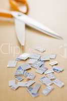 Credit Card In Pieces