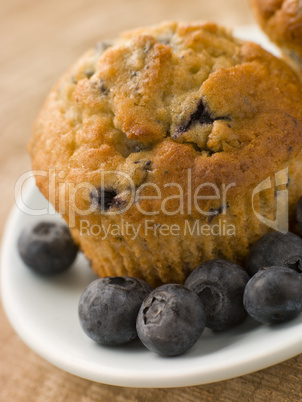 Blueberry Muffin On A Plate With Blueberries