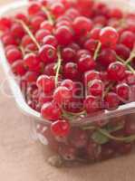 Redcurrants In Packaging