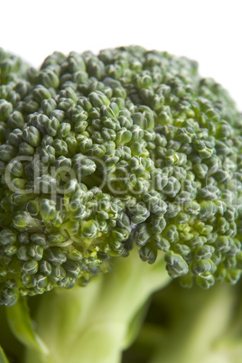 Broccoli Floret