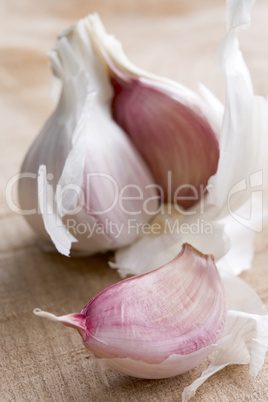 Clove And Bulb Of Garlic