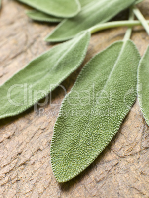 Sage Leaves On Chopping Board