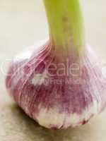 Bulb Of Fresh Garlic