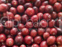 Fresh Cranberries