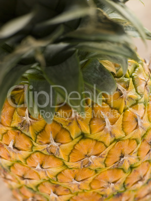 Fresh Pineapple