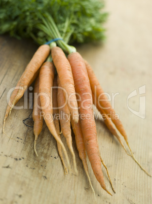 Bunch Of Fresh Carrots