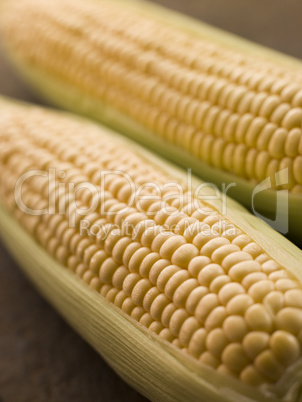 Cobs Of Corn