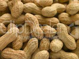 Peanuts In Shells