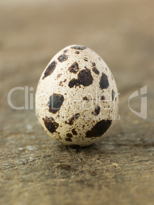 Quails Egg