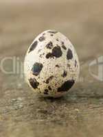 Quails Egg