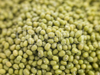 Mung Beans