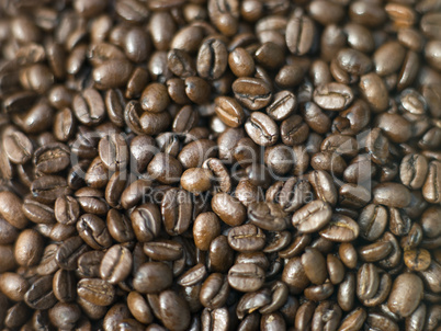 Coffee Beans