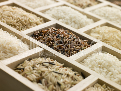 Selection Of Rices