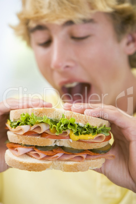 Teenage Boy Eating Sandwich