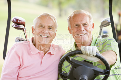 Male Friends Enjoying A Game Of Golf