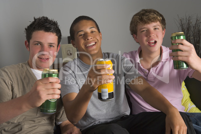 Teenage Boys Drinking Beer
