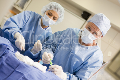 Ein Operationsarzt legt eine Kanüle