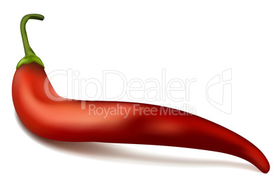 hot red chilli pepper