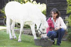 Eine brünette Frau gibt einem weissen Pony Wasser