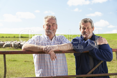 Zwei Männer lehnen an einem Zaun dahinter Schafe