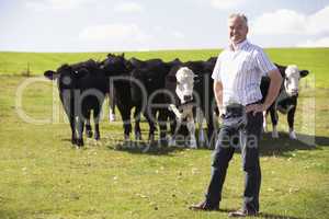 Ein Mann steht auf einer grünen Wiese mit Kühen