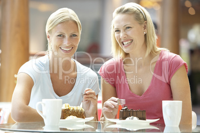 Female Friends Having Lunch Together At The Mall