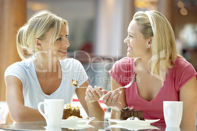 Female Friends Having Lunch Together At The Mall