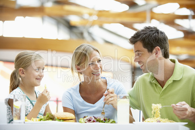 Family Having Lunch Together At The Mall