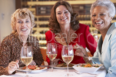 Friends Having Dinner Together At A Restaurant