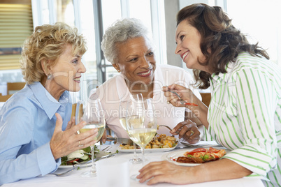 Friends Having Lunch Together At A Restaurant