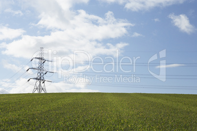 Electricity Pylons In A Paddock