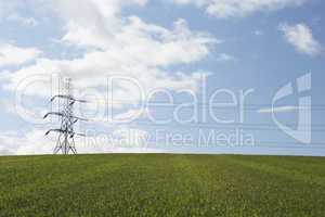 Electricity Pylons In A Paddock