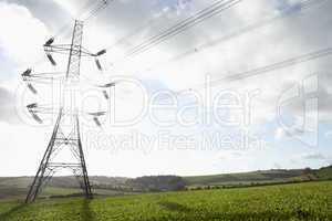 Electricity Pylons In A Paddock