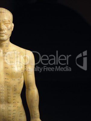 Meridian Lines On An Acupuncture Figurine