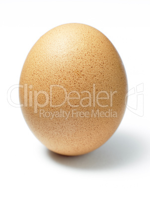 Studio Shot Of An Egg