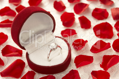 Diamond Ring In Heart Shaped Box Surrounded By Rose Petals