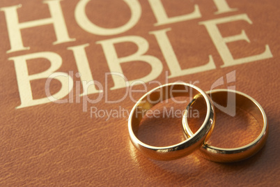 Wedding Rings Resting On A Holy Bible