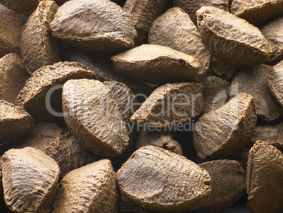 Brazil Nut Shells