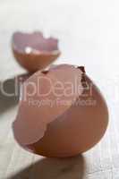 Broken Egg Shell