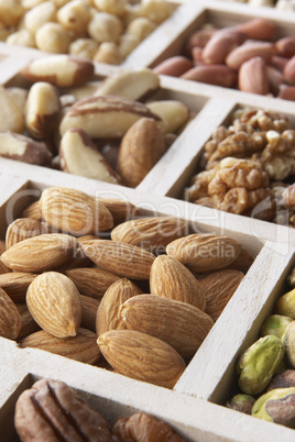 Variety Of Nuts