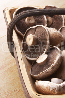 Basket Of Freshly Picked Mushrooms