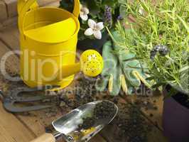 Watering Can And Trowel Next To Plants