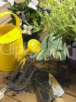 Watering Can And Trowel Next To Plants