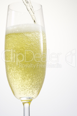 Single Champagne Flute