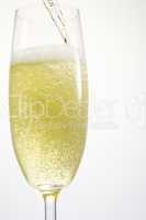 Single Champagne Flute