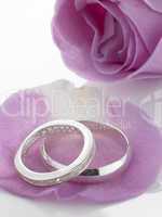 Silver Wedding Rings Resting On Rose Petals